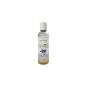 GEL DIVERSIÓN VAINILLA-ARANDANOS 100ML